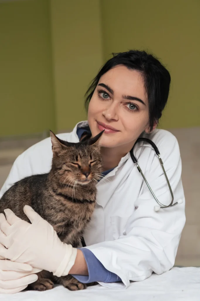 Vétérinaire tenant un chat dans sa clinique – assurance de prêt pour vétérinaires
