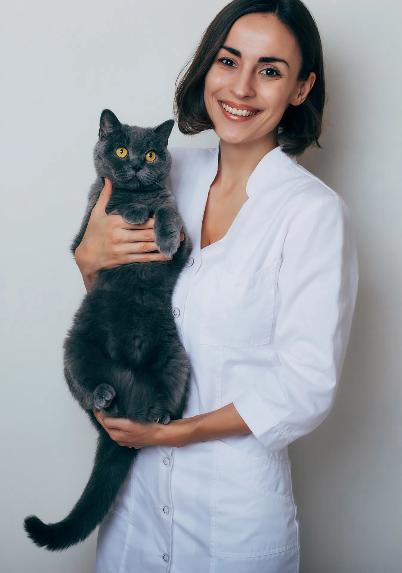 Vétérinaire souriante examinant un chat – assurance vie pour vétérinaires