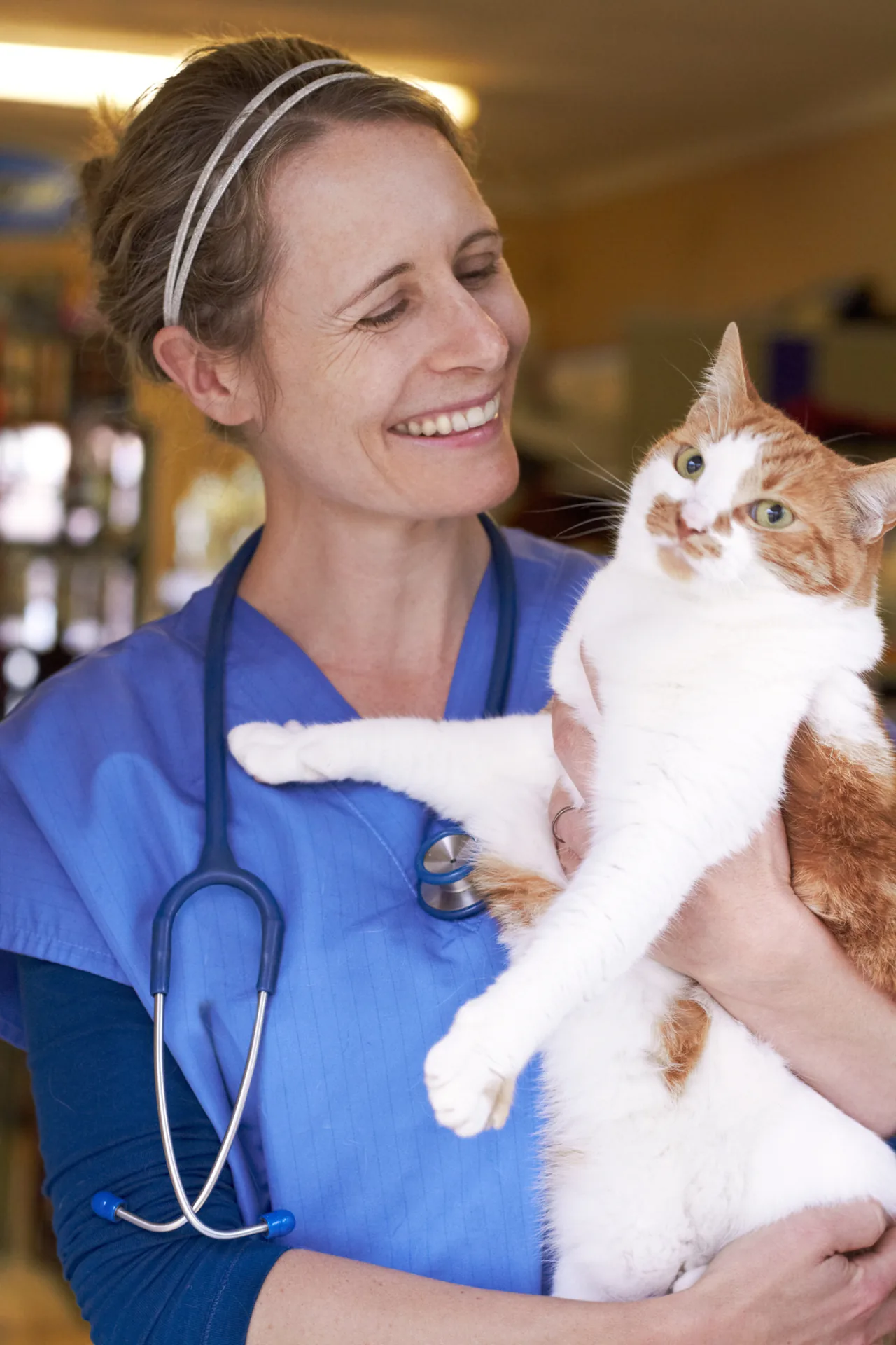 Vétérinaire tenant un chat en consultation – mutuelle santé pour vétérinaires