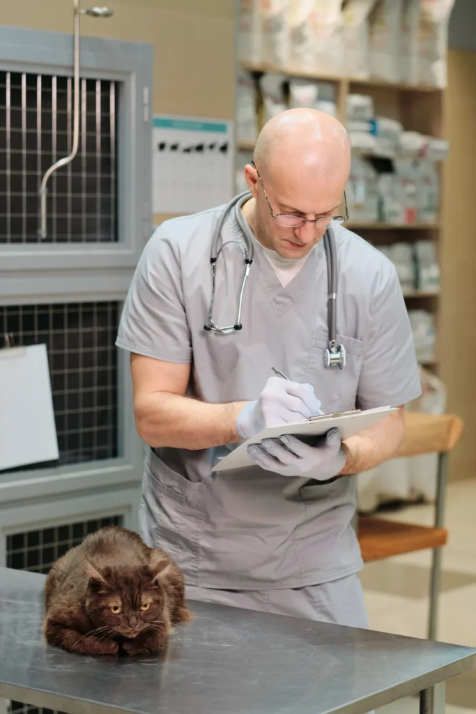 Vétérinaire remplissant le dossier médical d'un chat – PER-in pour vétérinaires
